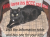 billerica-cat-care-coalition-willy-2011
